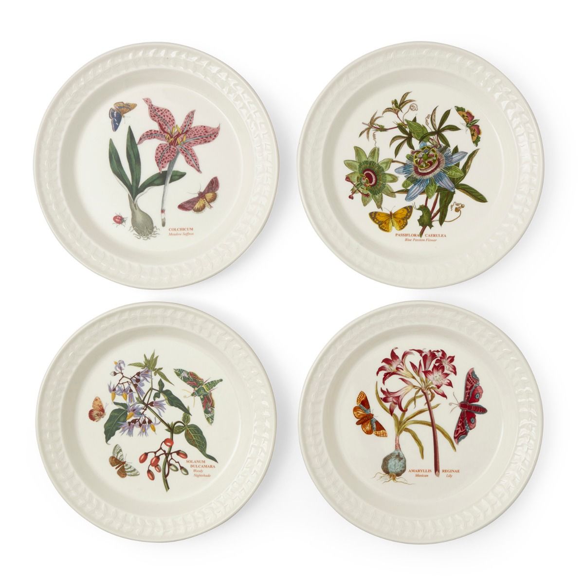 Botanic Garden Papilio set of 4 Dinner Plates image number null